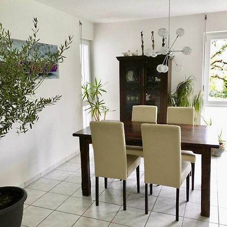 Ferienwohnung Annabelle Bodman-Ludwigshafen Εξωτερικό φωτογραφία