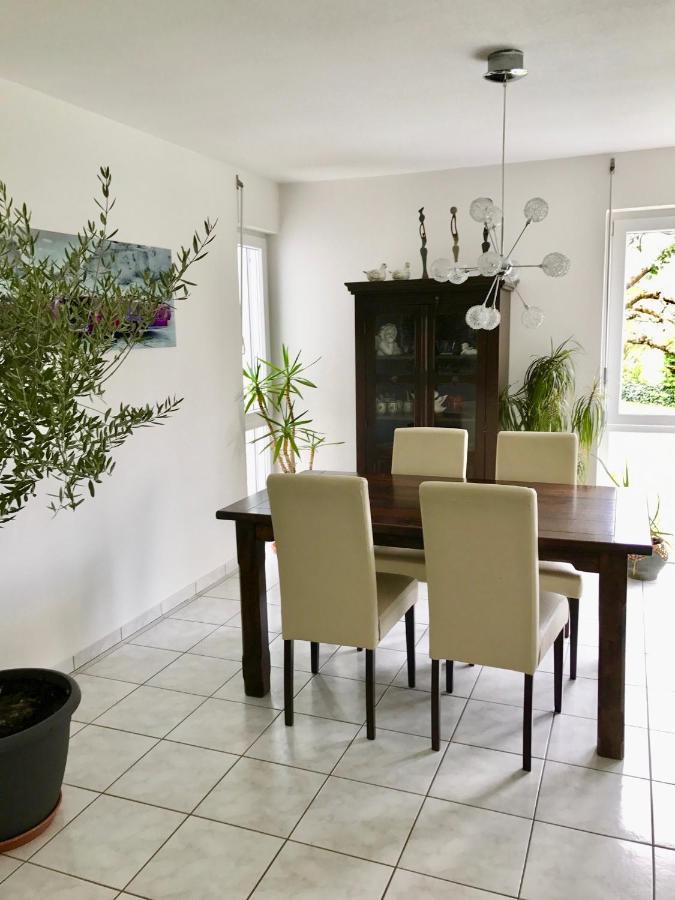 Ferienwohnung Annabelle Bodman-Ludwigshafen Εξωτερικό φωτογραφία